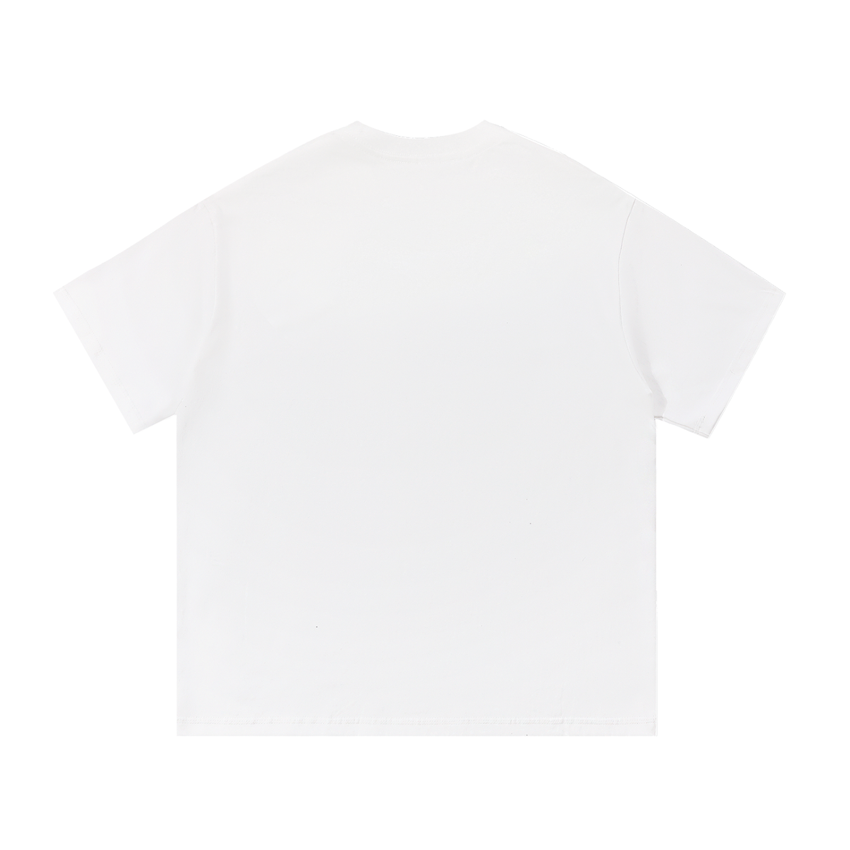 T-SHIRT "BENEDICTUS FRUCTUS"